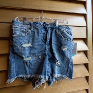 Medium Blue Jean Shorts with Raw Edges
